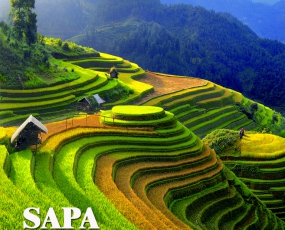 HÀ NỘI - LÀO CAI -SAPA - HÀ NỘI