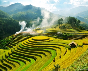 HÀ NỘI - SAPA - BẮC HÀ - NINH BÌNH - BÁI ĐÍNH - TRÀNG AN 