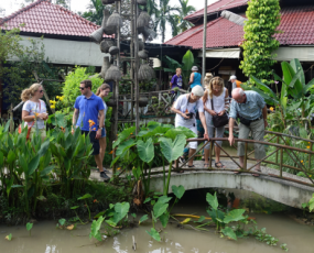 Mekong Delta 3 Days 2 Nights Tour (Cai Be - Vinh Long - Can Tho - Chau Doc)