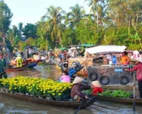 Mekong Delta Tour 1 Day (Cai Be - Vinh Long) from Saigon