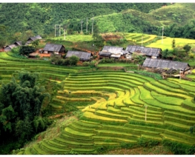 Mount Fansipan Trekking Tour 4 Days 3 Nights From Hue