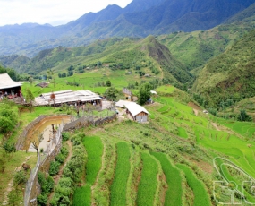 Sapa Easy Trekking Tours 2 Days 1 Night From Danang