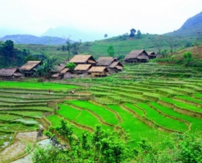 Sapa Hard Trek Tour 4 Days 3 Nights From Saigon