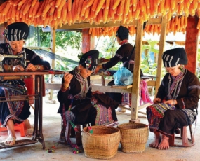 Sapa Treeking Tour 3 Days 2 Nights From Danang